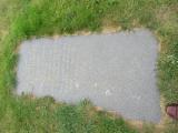 image of grave number 602282